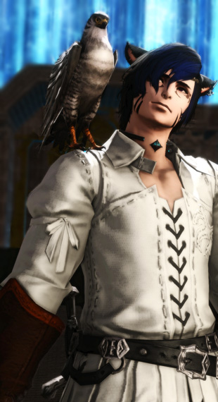 Falconer by Noctaleos Natulcen from «Cerberus»