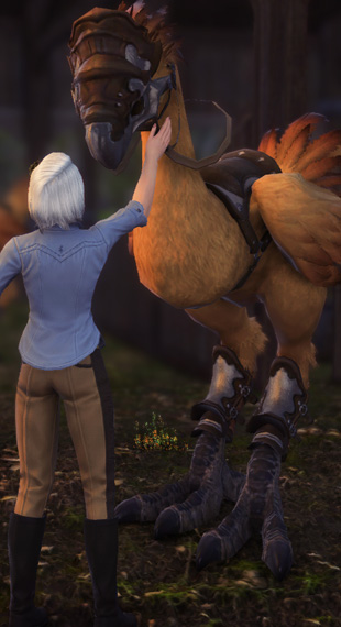 Chocobo Rider by Luna Delcielo from «Excalibur»