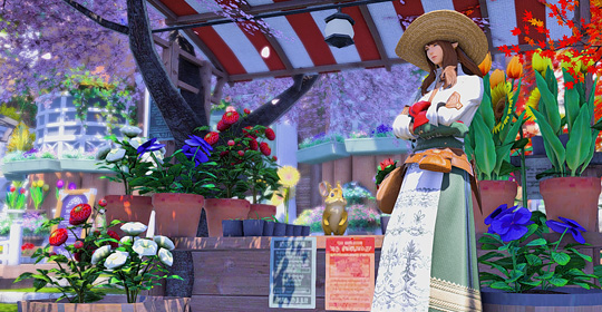 Gridanian Florist by Delilah Morrow from «Phoenix»