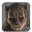 HROTHGAR