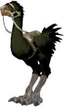 Chocobo color preview