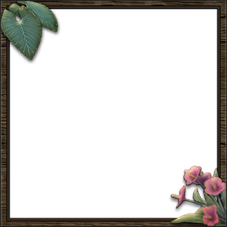 Frame