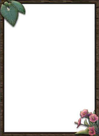 Frame